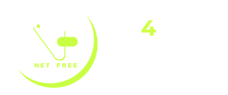 Net4Free Project, by Forini Spa